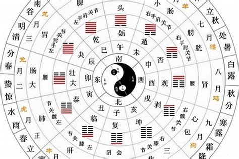 十天干十二地支|十天干十二地支(中国古代历法)